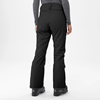 Bilde av MILLET Monashee Pants(W) Black