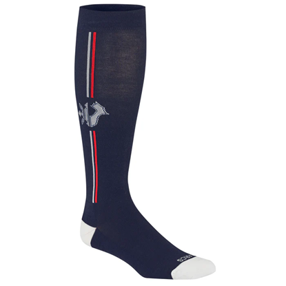 Bilde av LES ARCS Andree Ski Sock Long Navy