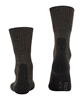 Bilde av falke tk1 wool